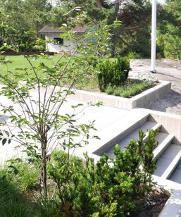 Trädgårdsdesign, garden design, modern, steps, concrete wall, betong
